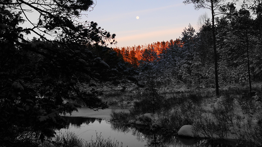 Marieholm Nature reserv